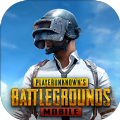 pubg国际服亚服手游